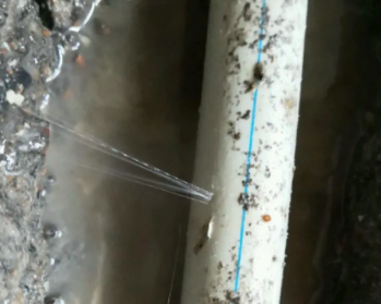浦江卫生间测漏水多少钱