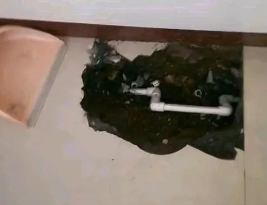 浦江卫生间测漏水多少钱